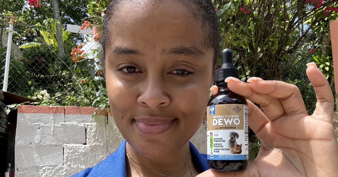 Supporting Gut Health During Dietary or Routine Changes