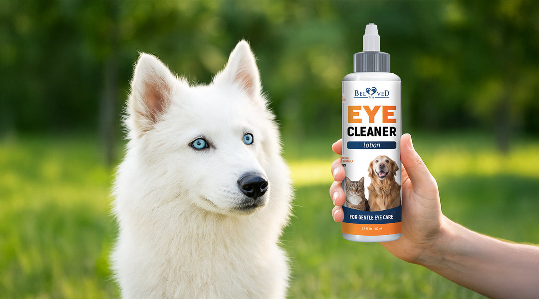 Pet Eye Wash & Tear Stain Remover – Beloved Pets
