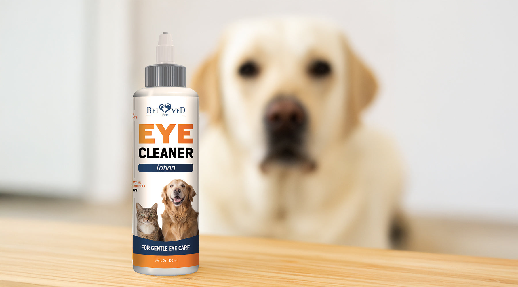 How to Use Pet Eye Wash Safely | Beloved Pets – Belovedpetsbrand