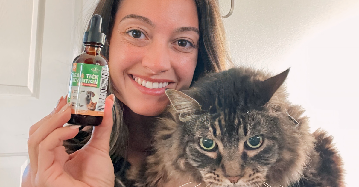 Image showcasing Why Oral Flea & Tick Prevention Is Ideal for Sensitive Pets ...