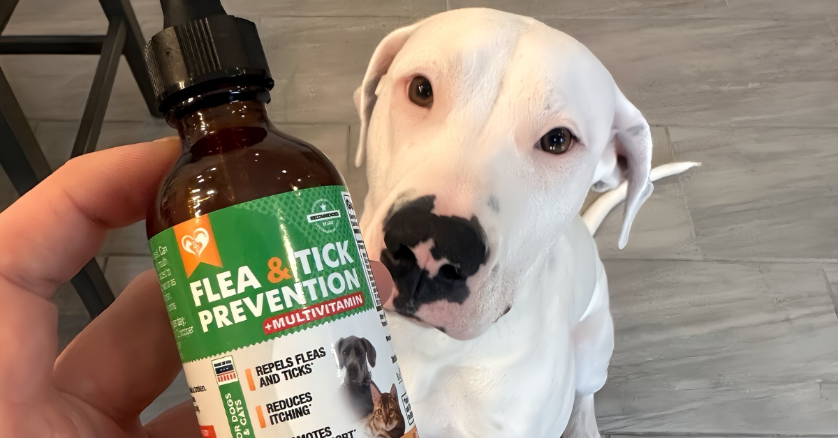 Understanding Natural Ingredients in Oral Flea & Tick Prevention Drops