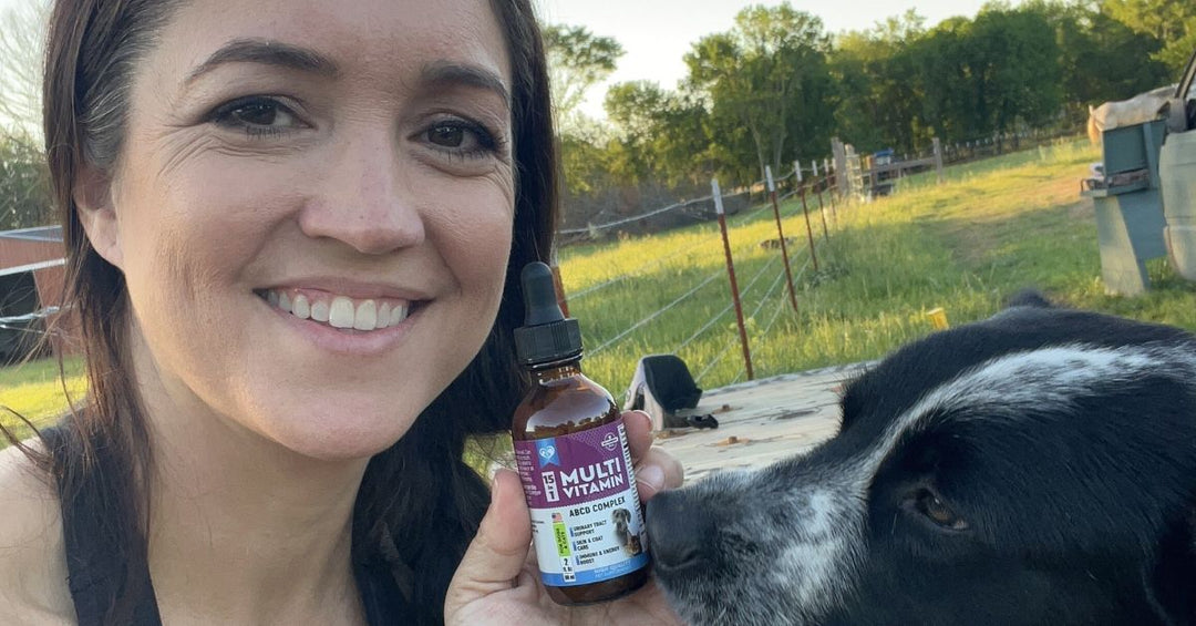 Why Liquid Supplements Work Better for Pets Than Chews or Tablets