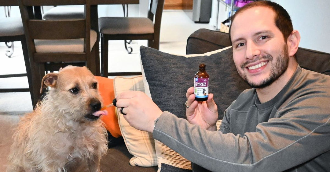 Cranberry Support for Cats & Dogs: A Gentle Daily Boost for Urinary Comfort