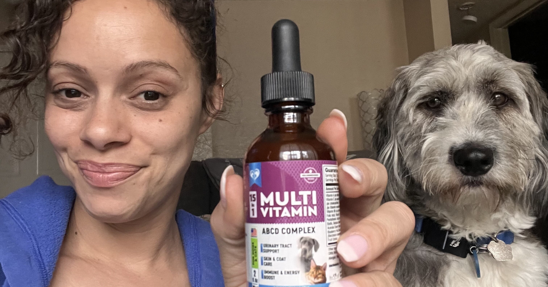 How Daily Multivitamins Support Senior Pets: Mobility, Immunity & Overall Comfort