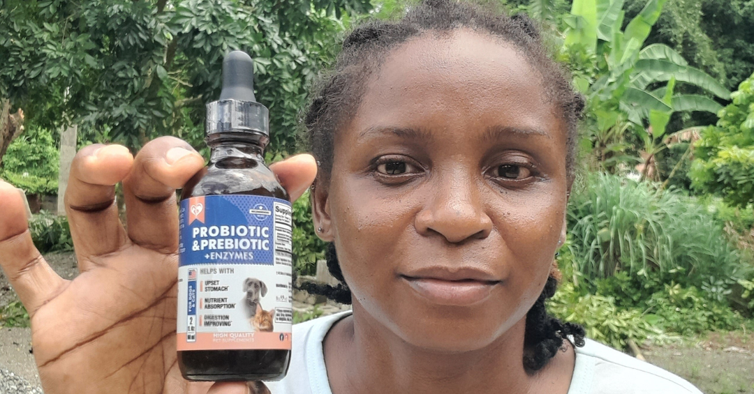 Understanding the Live Probiotics in Our Probiotics & Prebiotics with Enzymes Formula