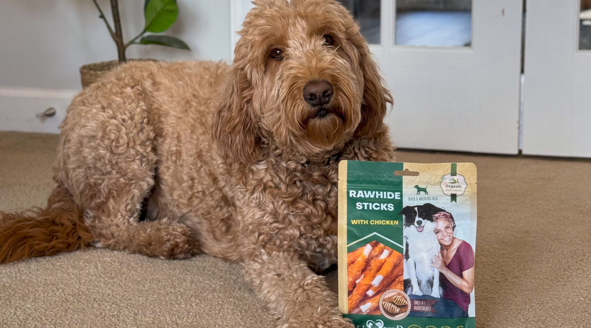 🦷 Why Rawhide Sticks Help Keep Your Dog’s Teeth Healthy