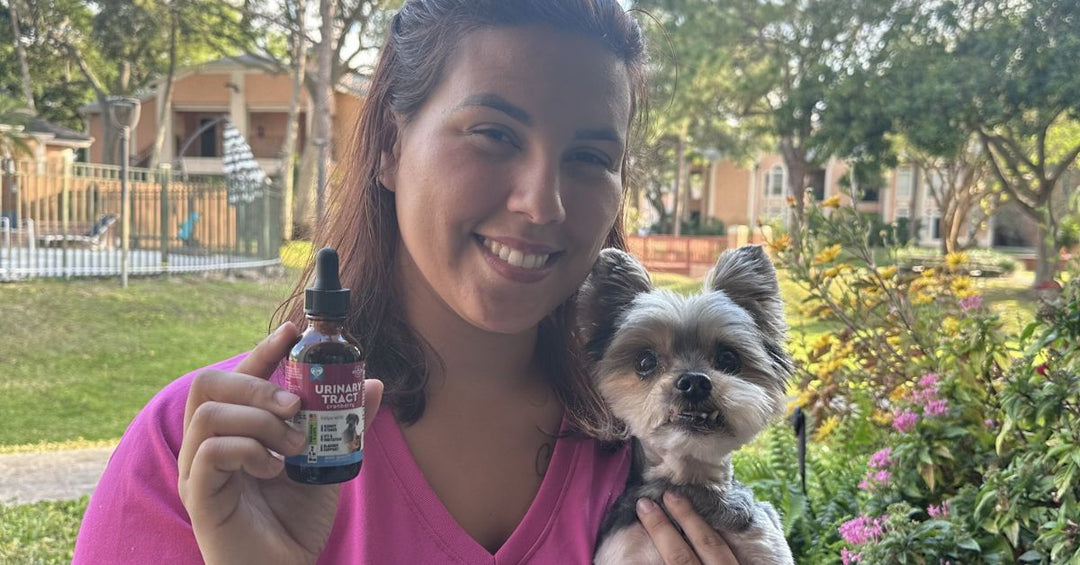Restore Urinary Health Fast: Natural Cranberry & D-Mannose UTI Relief for Cats & Dogs