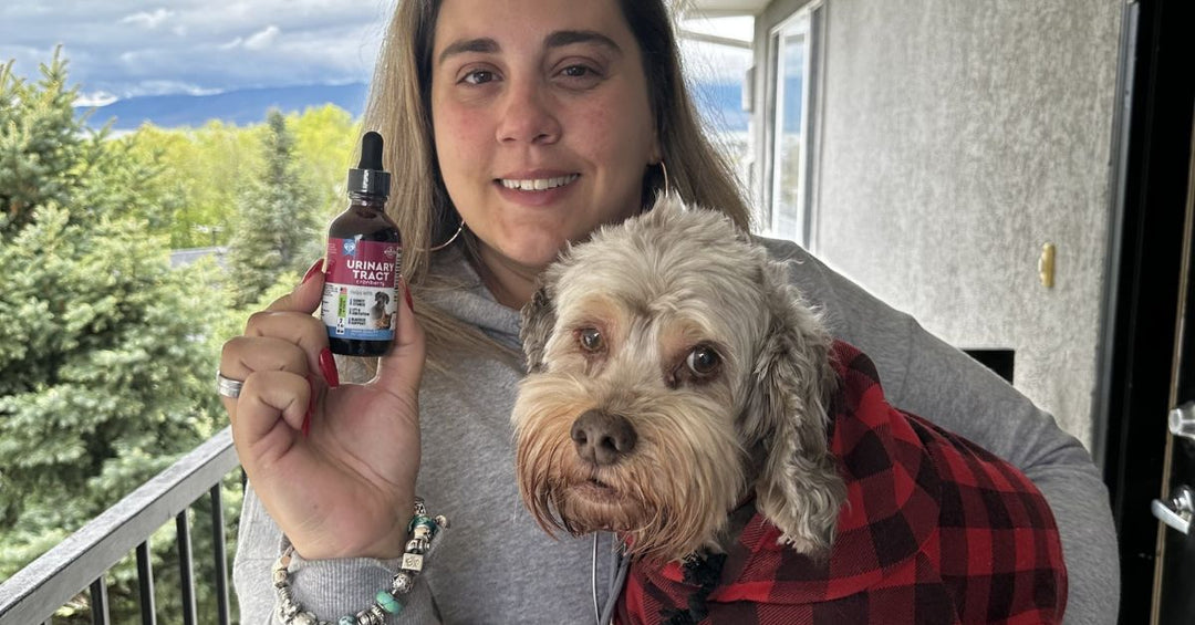 How Long Should My Pet Take the UTI Support Supplement?