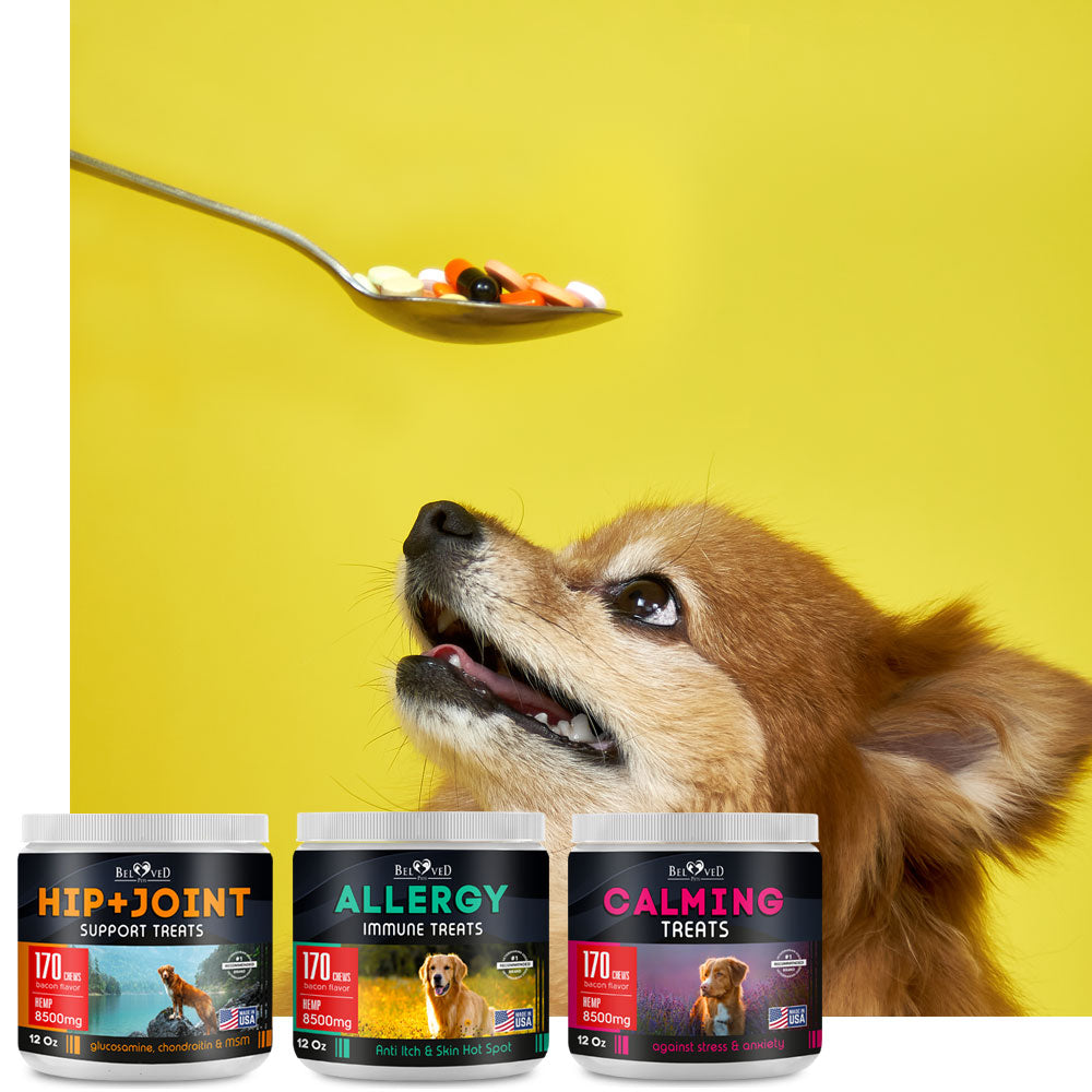 Supplement for Dogs and Cats
