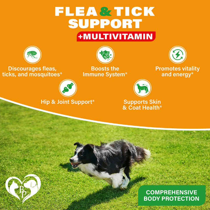 Beloved Pets Natural Flea & Tick Support + Complex Multivitamin Chicken Flavored Soft Chew for Skin & Coat Supplement for Dogs, 10-oz Jar