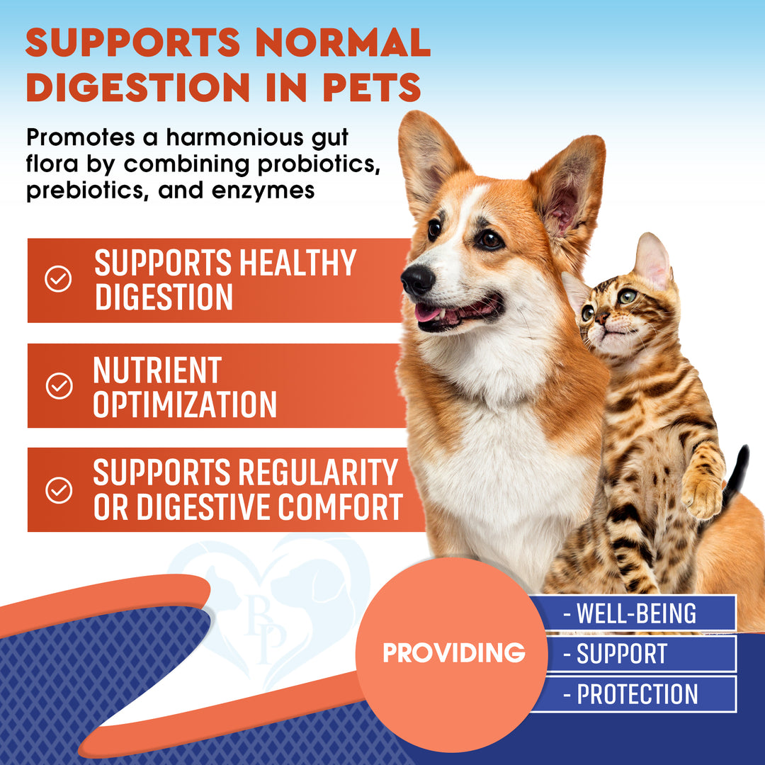 Probiotics & Prebiotics with Enzymes for Dogs and Cats - Digestive Gut Flora Health Pet Food Supplements - Constipation & Diarrhea and Gas Home Remedy - Upset Stomach Relief - Made in USA