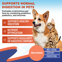 Dog & Cat Probiotics + Prebiotics with Enzymes for cats and dogs — Beloved Pets, photo 2 — photo 2