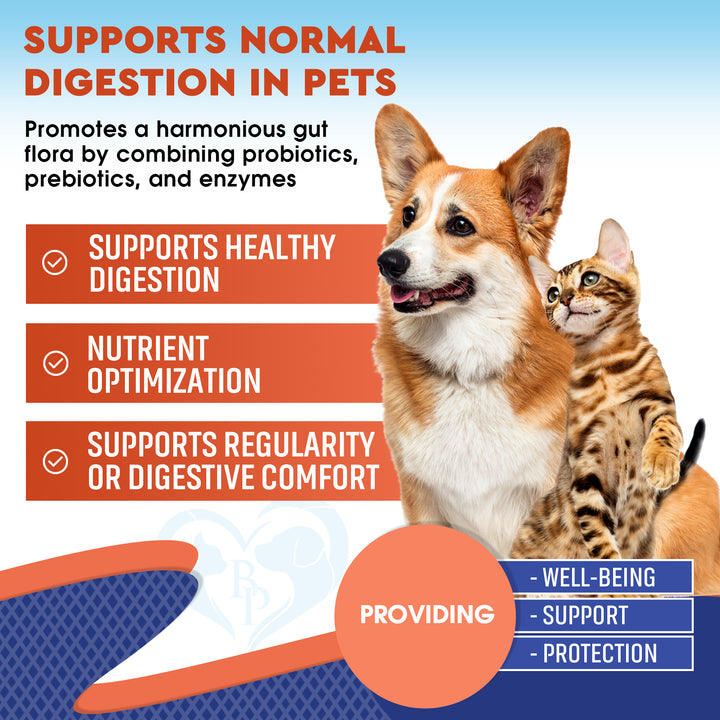Probiotics & Prebiotics with Enzymes for Dogs and Cats - Digestive Gut Flora Health Pet Food Supplements - Constipation & Diarrhea and Gas Home Remedy - Upset Stomach Relief - Made in USA