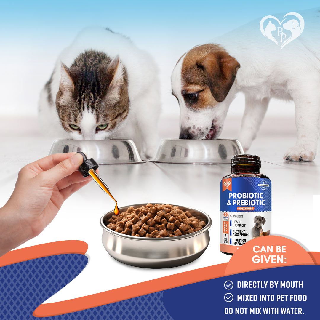 Probiotics & Prebiotics with Enzymes for Dogs and Cats - Digestive Gut Flora Health Pet Food Supplements - Constipation & Diarrhea and Gas Home Remedy - Upset Stomach Relief - Made in USA