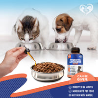 Dog & Cat Probiotics + Prebiotics with Enzymes for cats and dogs — Beloved Pets, photo 4 — photo 4