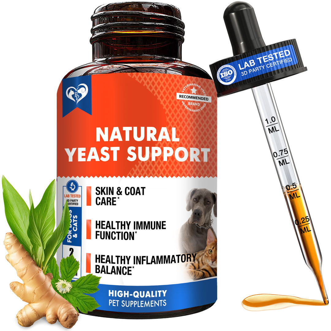 Beloved Pets Herbal Comfort & Wellness Liquid Supplement for Dogs & Cats, 2-fl oz Bottle
