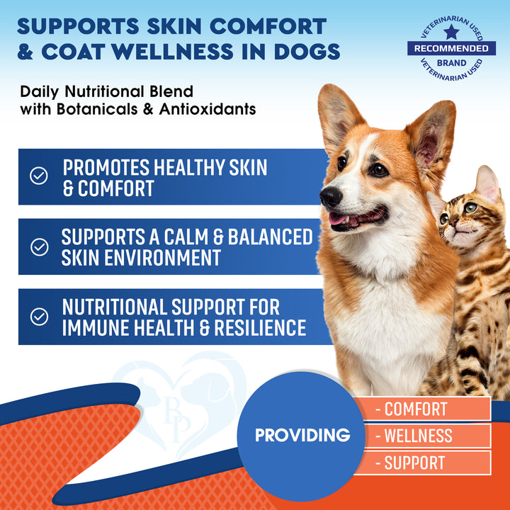 Beloved Pets Herbal Comfort & Wellness Liquid Supplement for Dogs & Cats, 2-fl oz Bottle