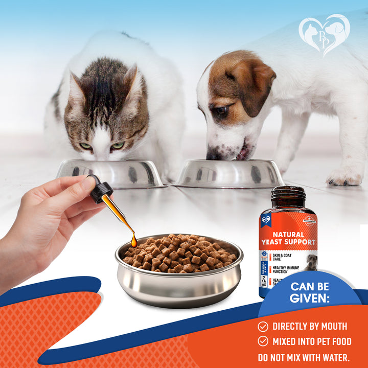Beloved Pets Herbal Comfort & Wellness Liquid Supplement for Dogs & Cats, 2-fl oz Bottle