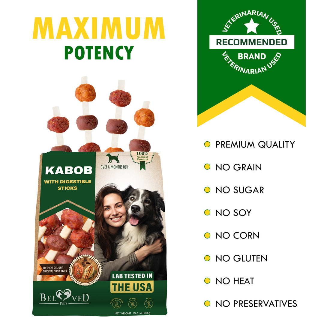 Kabobs Dog Treats with Duck & Chicken Human Grade Meat - All Natural Pet Dried Snacks Rawhide - Free & Grain Free Long Lasting Chews for Large & Small Dogs - Supports Healthy Teeth