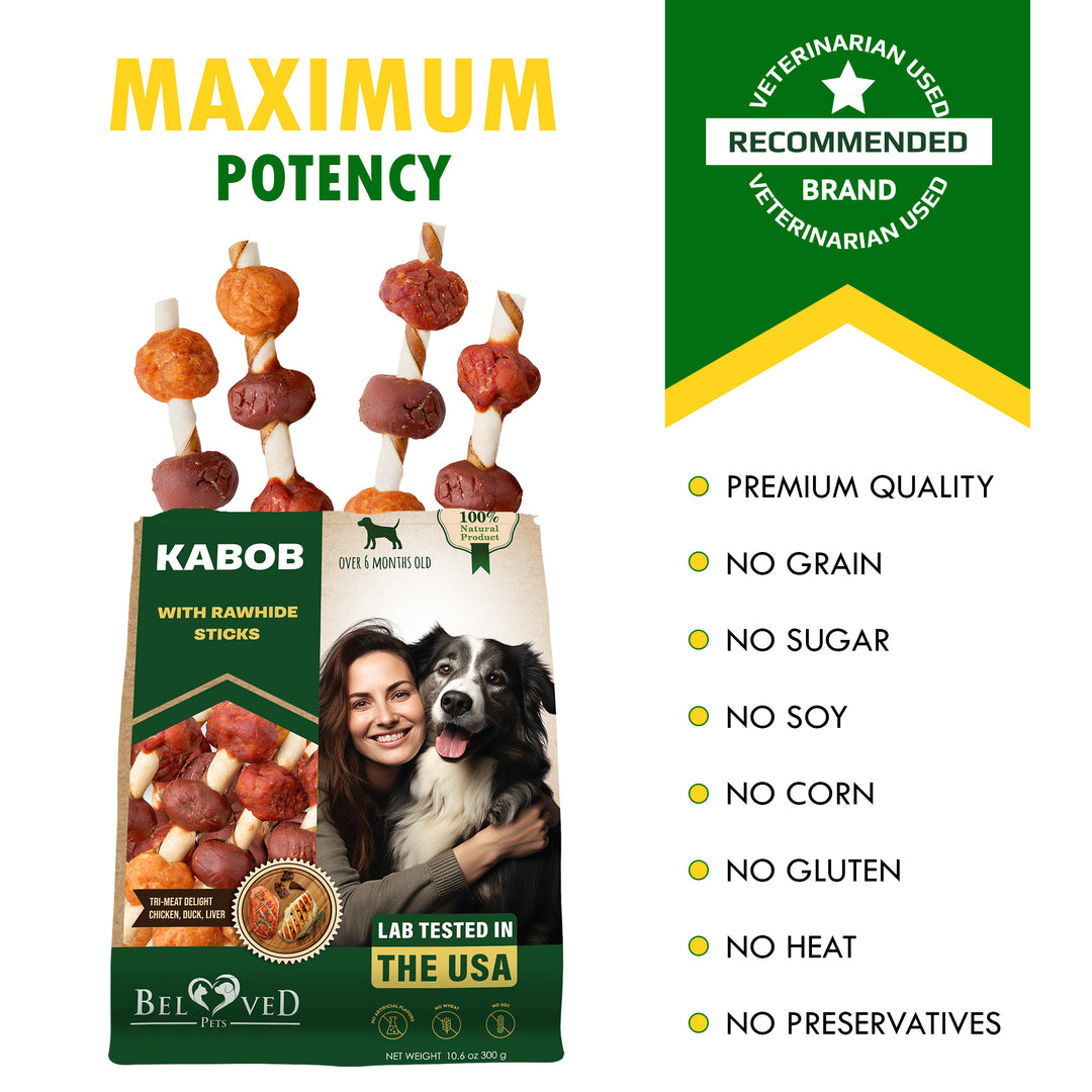 Kabobs Dog Rawhide Treats with Duck & Chicken Human Grade Meat - All Natural Dried Snacks - Grain Free Long Lasting Chews for Large & Small Dogs - Best Sticks for Training & Healthy Teeth