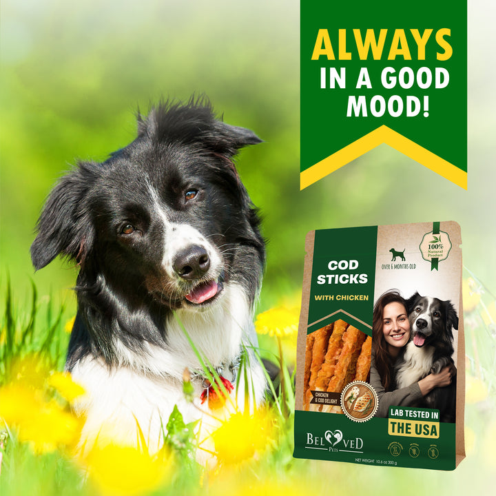 Beloved Pets Cod Sticks Dog Treats Chicken Wrapped - All Natural Rawhide - Free & Grain Free Long Lasting Chews for Large & Small Dogs - Support Healthy Teeth & Skin Coat