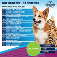 21-in-1 Cat & Dog Multivitamin Liquid for cats and dogs — Beloved Pets, photo 2 — photo 2