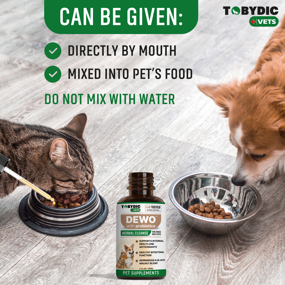 Broad Spectrum Herbal Intestinal Defense with Probiotic for Cats & Dogs - Natural Support Helps to Remove Toxins - Supplement Drops - Made in USA