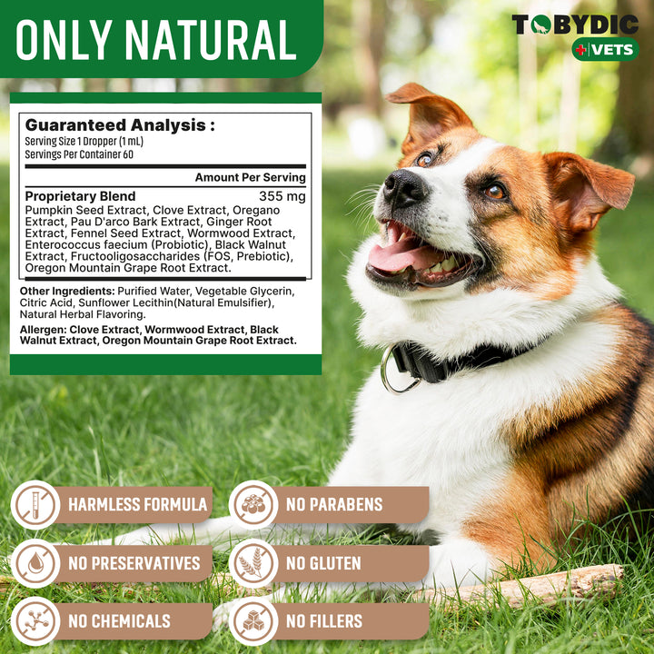 Broad Spectrum Herbal Intestinal Defense with Probiotic for Cats & Dogs - Natural Support Helps to Remove Toxins - Supplement Drops - Made in USA