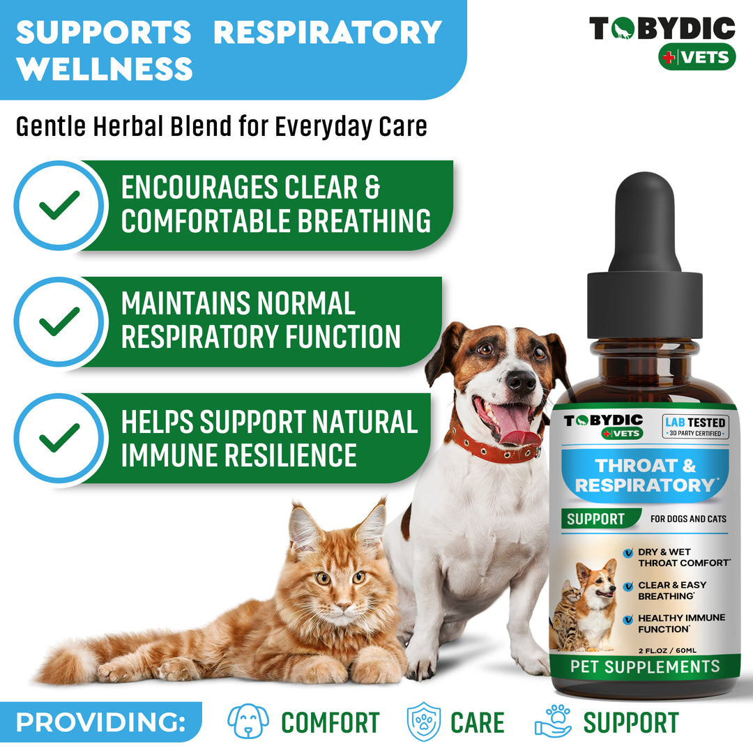 Dry & Wet Kennel Cough Natural Medicine & Relief for Dogs and Cats - Herbal Treatment Support Helps to Soothe Throat & Respiratory Trachea Comfort Supplement for Pets - Made in USA