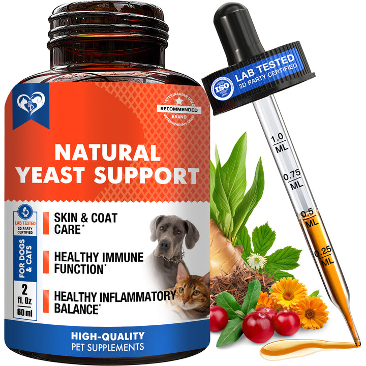 Beloved Pets Herbal Comfort & Wellness Liquid Supplement for Dogs & Cats, 2-fl oz Bottle