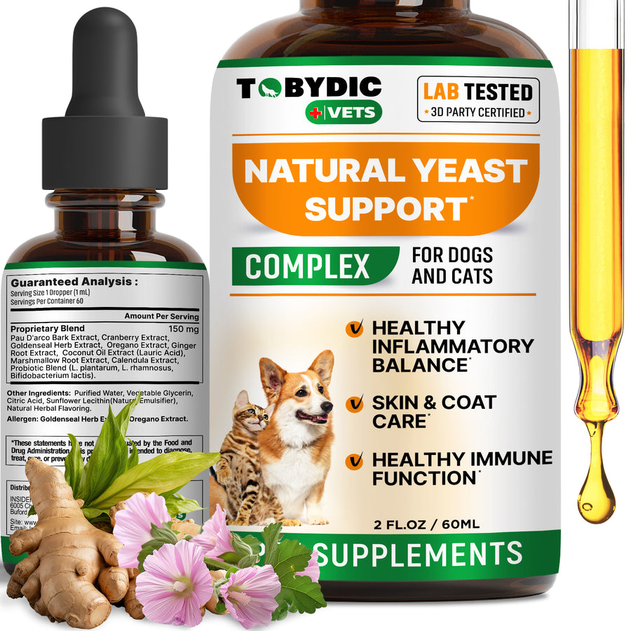 Natural Dog Yeast Infection Relief for dogs — Beloved Pets
