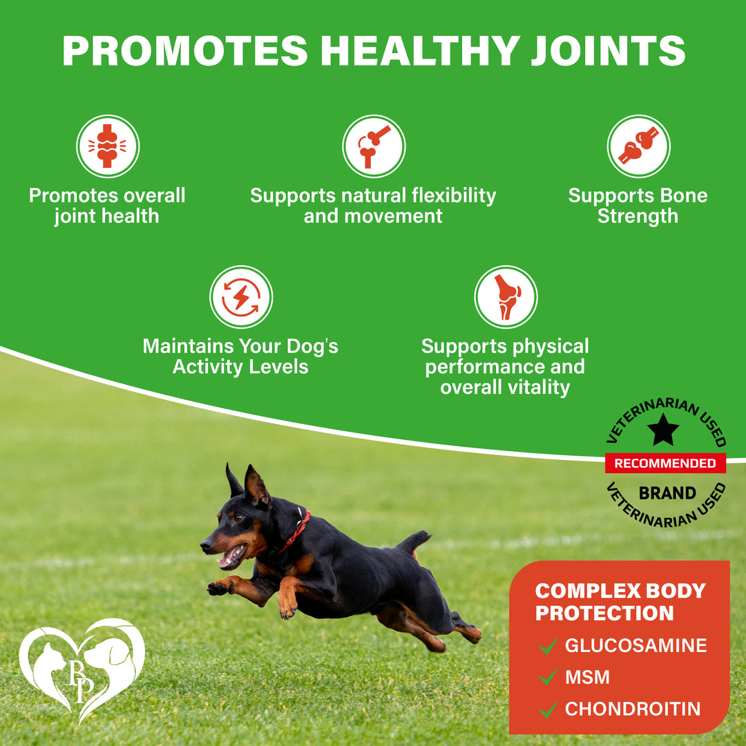 Dog Hip and Joint Supplement & Arthritis Pain Relief Treats - Glucosamine Chondroitin MSM Soft Chews for Senior Dogs - Natural Medicine & Support Mobility - Turmeric Vitamins for Dysplasia