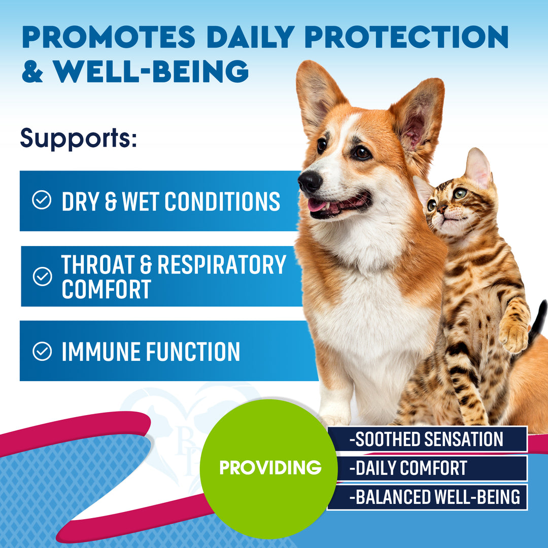 Herbal Respiratory Support for Dogs & Cats – Natural Comfort for Throat & Seasonal Wellness – Gentle Botanical Formula – Made with Care