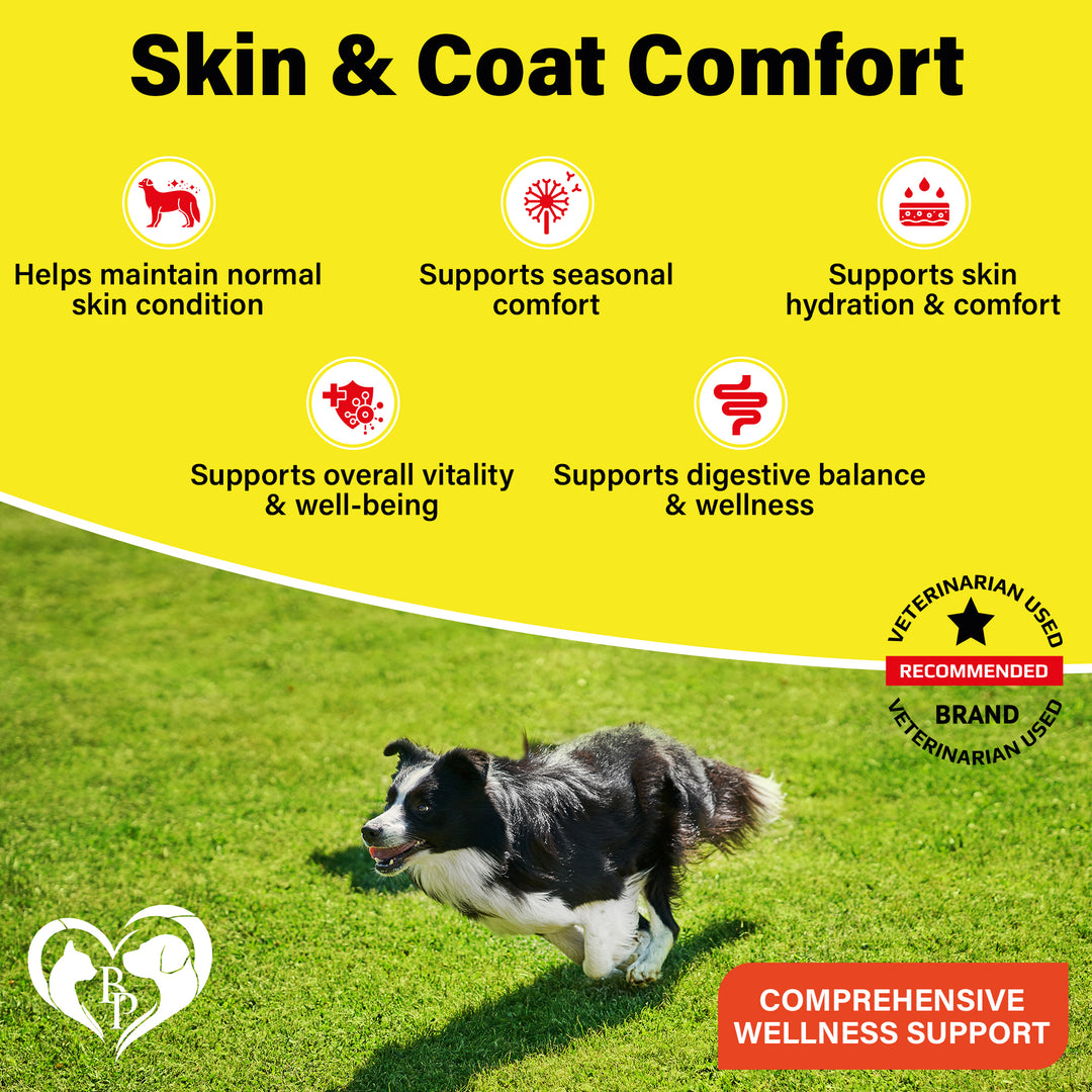 Dog Anti Itch & Allergy Relief Chews - Dry Itchy Skin & Hot Spot Treatment with Probiotic, Omega 3 Oil- Immune Supplement & Seasonal Allergies Medicine for Dogs, Puppy - 140 Bites