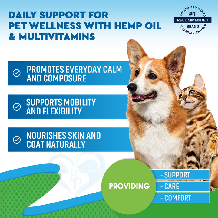 Cat & Dog Hemp Oil Drops - Pet Calming Anti Anxiety & Herbal Stress Relief - Natural Organic Liquid Medication for Arthritis & Hip, Joint Pain Releaf - Dog Sedative Supplements Made in USA
