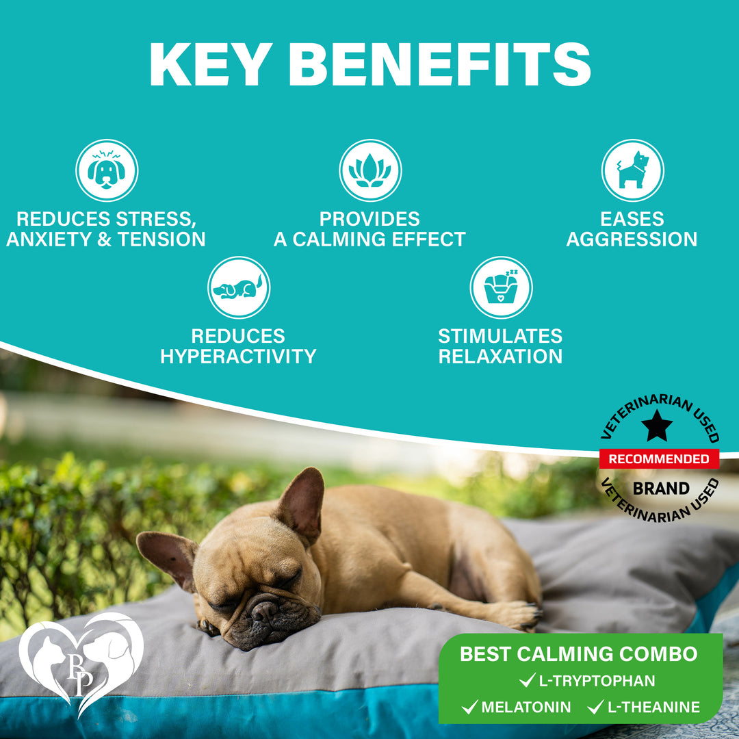 Calming Chews for Dogs & Puppy and Cats -Pet Separation Anxiety Relief Soft Treats & Calm Behavior Aid - Melatonin for Sleep- Anti Stress Treatment Help with Thunder- Made in USA
