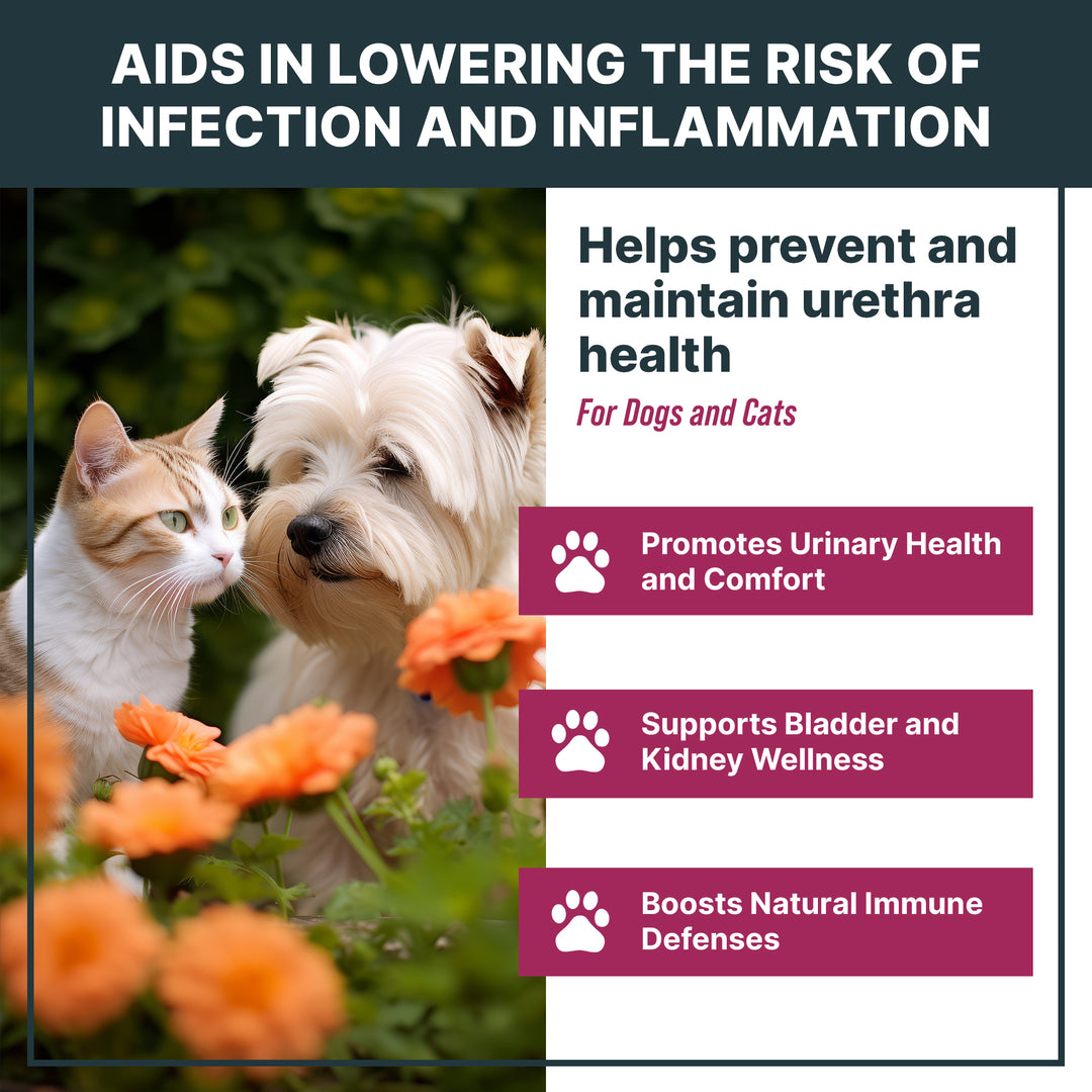 Natural UTI Treatment Support - Cranberry Urinary Tract Infection Care & Prevention Assistance for Cats and Dogs – Kidney & Bladder Wellness Supplement Drops - Support for Urine Flow