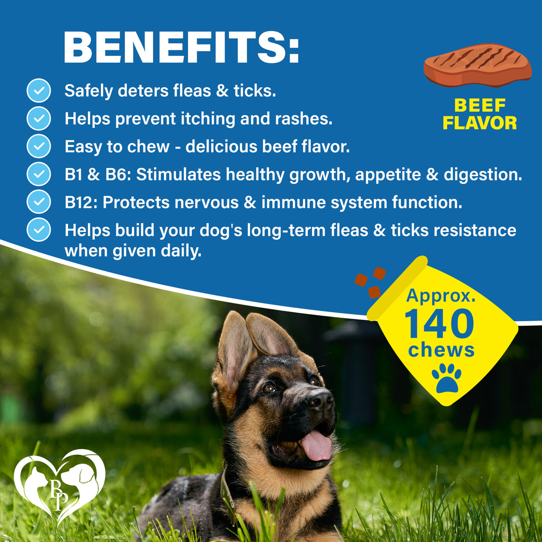 Beloved Pets Flea and Tick Prevention Chewable Pills for Dogs - Revolution Oral Flea Treatment for Pets - Pest Control & Natural Defense - Chewables Small Tablets Made in USA (Beef)