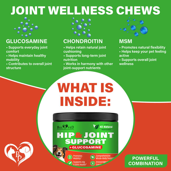 Dog Hip and Joint Supplement & Arthritis Pain Relief Treats - Glucosamine Chondroitin MSM Soft Chews for Senior Dogs - Natural Medicine & Support Mobility - Turmeric Vitamins for Dysplasia