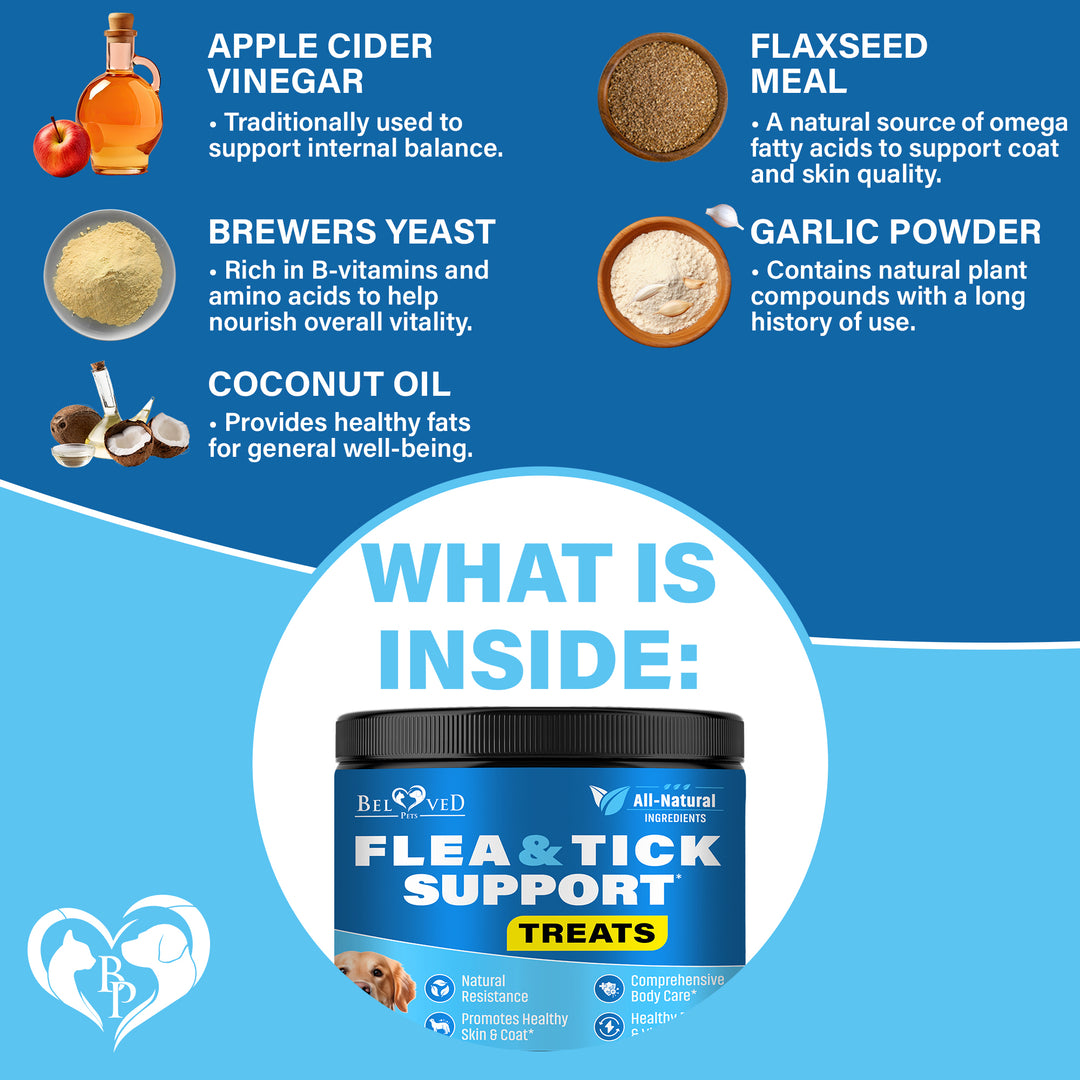 Beloved Pets Flea and Tick Prevention Chewable Pills for Dogs - Revolution Oral Flea Treatment for Pets - Pest Control & Natural Defense - Chewables Small Tablets (Beef)