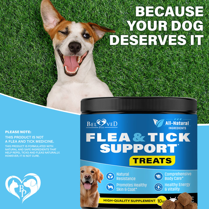 Beloved Pets Flea and Tick Prevention Chewable Pills for Dogs - Revolution Oral Flea Treatment for Pets - Pest Control & Natural Defense - Chewables Small Tablets (Beef)