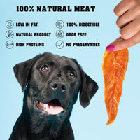 Chicken Jerky Slices 1.5 lb for dogs — Beloved Pets, photo 5 — photo 5