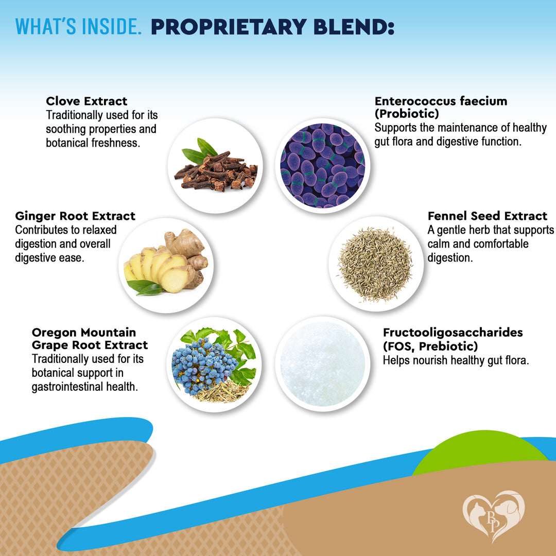 Beloved Pets Herbal Digestive Supplement with Probiotics for Cats & Dogs, 2-fl oz bottle