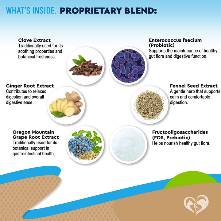 Beloved Pets Herbal Digestive Supplement with Probiotics for Cats & Dogs, 2-fl oz bottle
