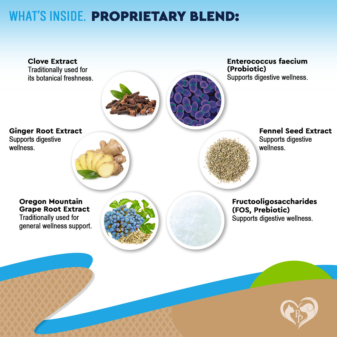 Natural Digestive Support for Dogs & Cats – Herbal Blend with Probiotics – Supports Normal Gut & Flora Balance – Daily Wellness Formula