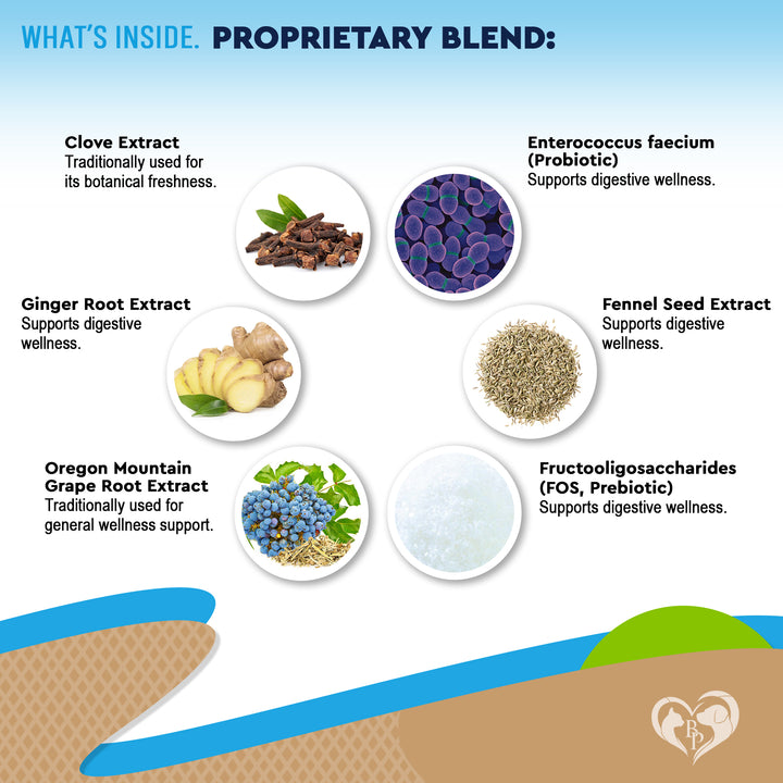 Natural Digestive Support for Dogs & Cats – Herbal Blend with Probiotics – Supports Normal Gut & Flora Balance – Daily Wellness Formula