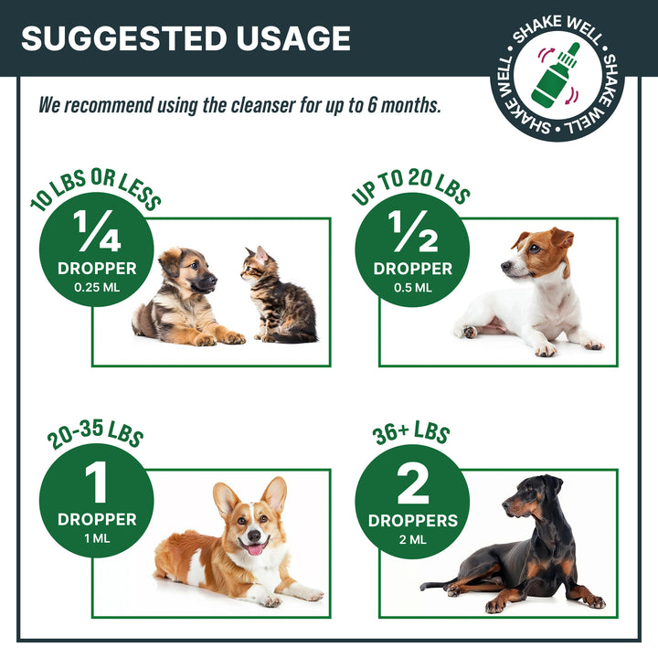Natural UTI Treatment Support - Cranberry Urinary Tract Infection Care & Prevention Assistance for Cats and Dogs – Kidney & Bladder Wellness Supplement Drops - Support for Urine Flow