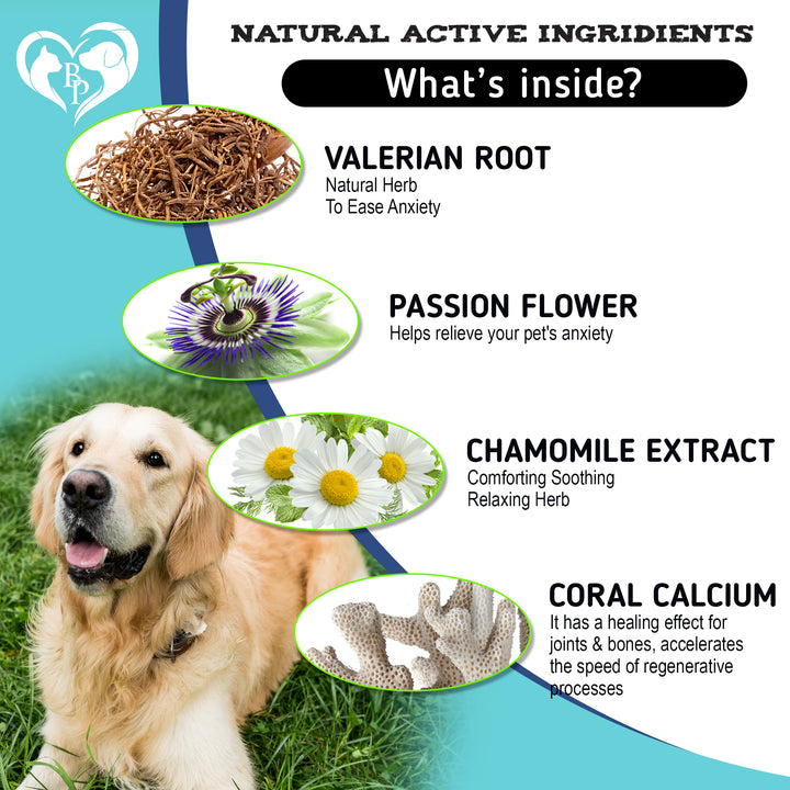 Calming Chews for Cats - Pet Separation Anxiety Relief Treats & Calm Aggressive Behavior - Soft Bites (Chicken (For Cats))