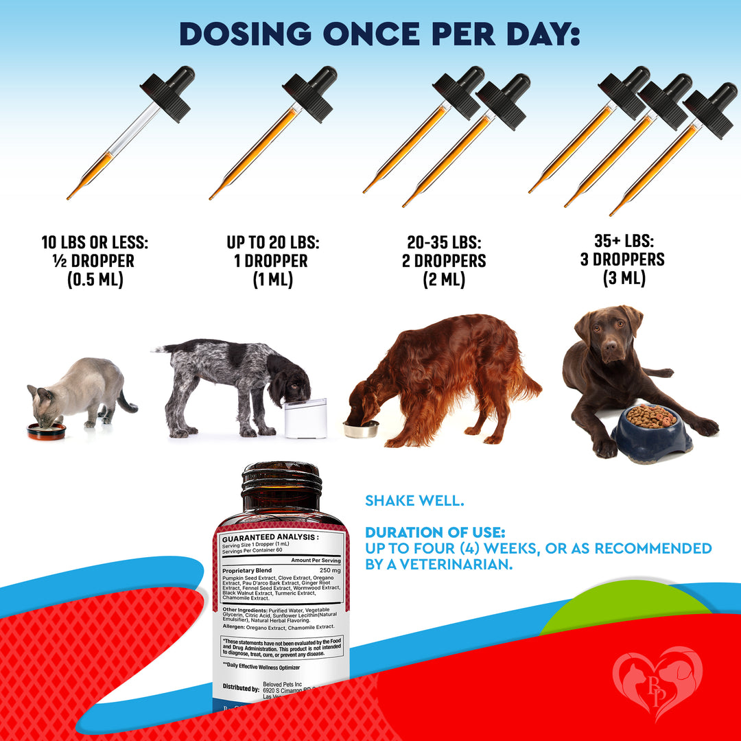 Natural Intestinal Defense for Dogs & Cats – Herbal Cleanse with Wormwood, Black Walnut – Promotes Healthy Gut & Flora Balance 2-fl oz bottle.