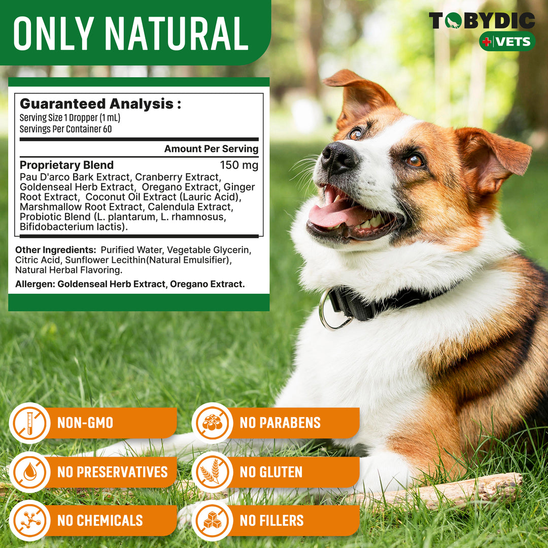 Natural Dog Yeast Infection Relief - Itchy Skin & Ear Treatment - Reduces Irritation & Relieves Itching and Allergy - Herbal Medicine Drops Supplement - Made in USA